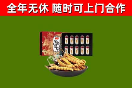海宁市烟酒回收冬虫夏草礼盒.jpg